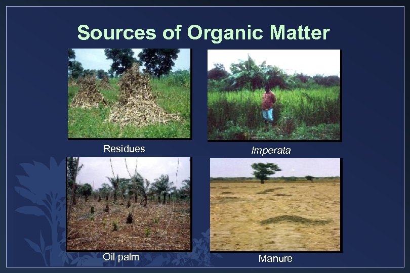 Sources of Organic Matter Residues Oil palm Imperata Manure 