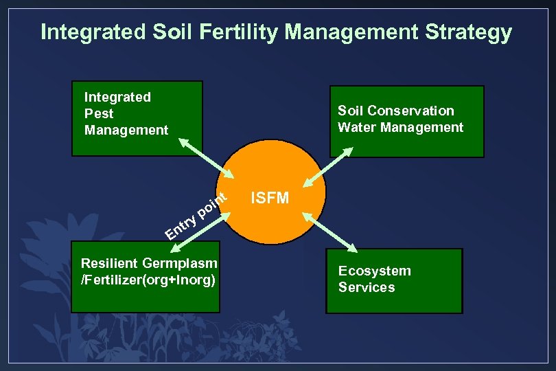 Integrated Soil Fertility Management Strategy Integrated Pest Management Soil Conservation Water Management t r