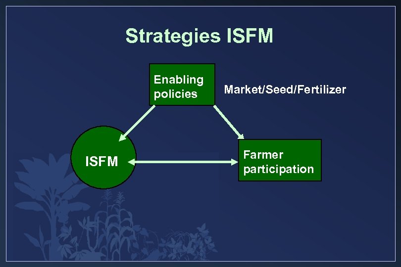 Strategies ISFM Enabling policies ISFM Market/Seed/Fertilizer Farmer participation 