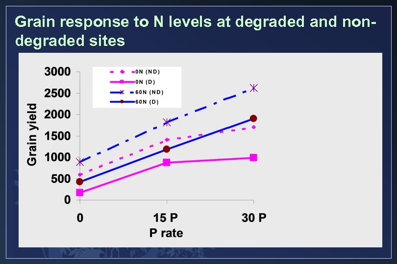 Grain response to N levels at degraded and nondegraded sites 