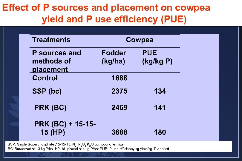 Effect of P sources and placement on cowpea yield and P use efficiency (PUE)