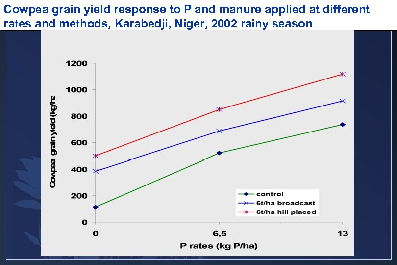 Cowpea grain yield response to P and manure applied at different rates and methods,