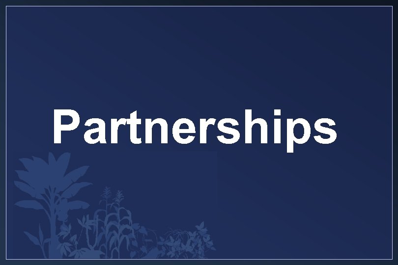 Partnerships 