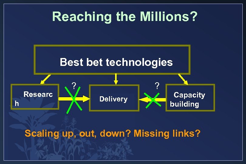 Reaching the Millions? Best bet technologies Researc h ? ? Delivery Capacity building Scaling