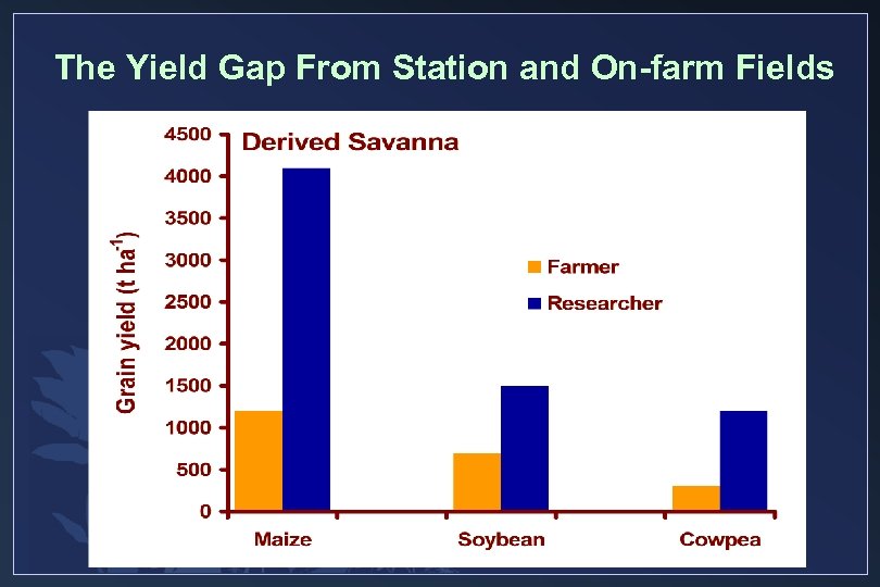 The Yield Gap From Station and On-farm Fields 