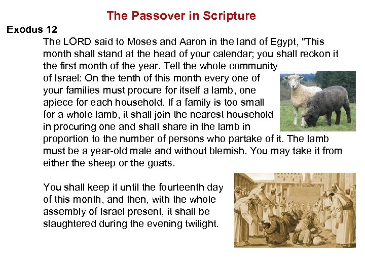 The Passover in Scripture Exodus 12 The LORD said to Moses and Aaron in