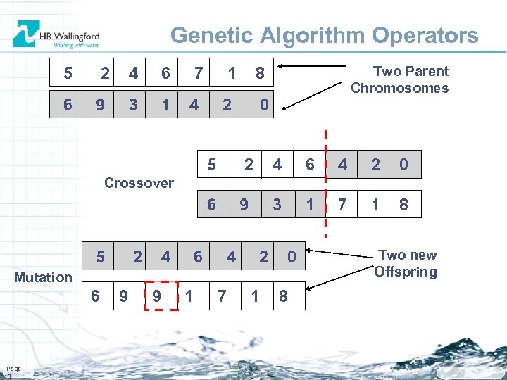 Genetic Algorithm Operators 5 2 4 6 7 1 6 9 3 1 4