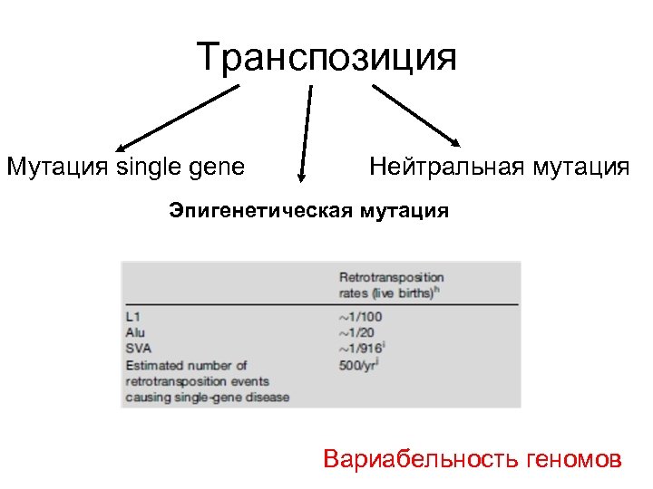Транспозиция Мутация single gene Нейтральная мутация Эпигенетическая мутация Вариабельность геномов 