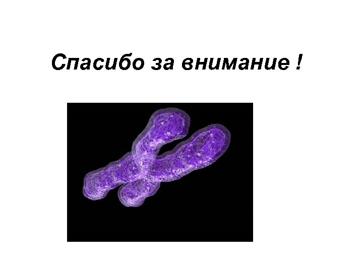 Спасибо за внимание ! 