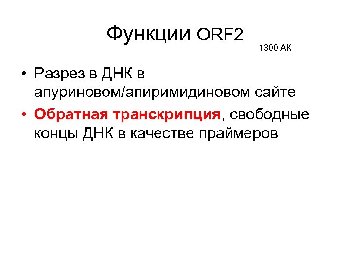 Функции ORF 2 1300 АК • Разрез в ДНК в апуриновом/апиримидиновом сайте • Обратная
