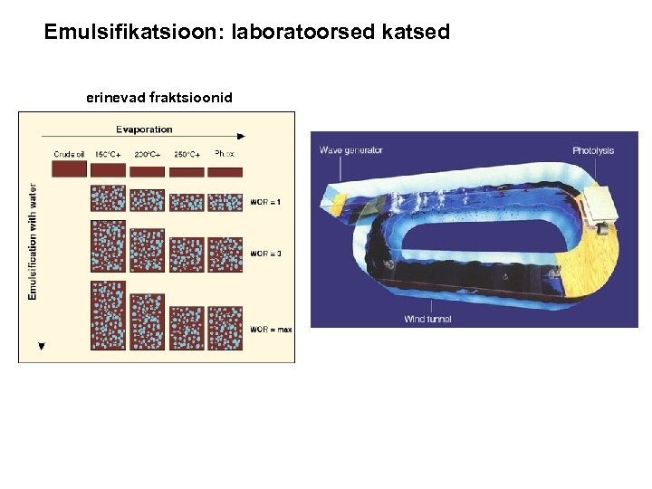 Emulsifikatsioon: laboratoorsed katsed erinevad fraktsioonid 