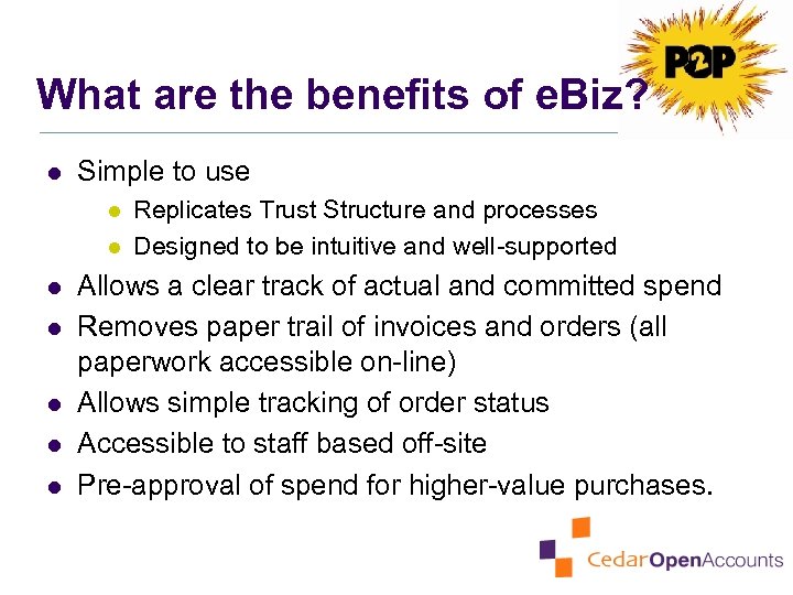 What are the benefits of e. Biz? l Simple to use l l l