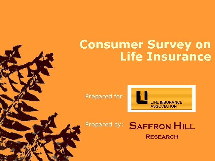Consumer Survey on Life Insurance Prepared for: Prepared by: 