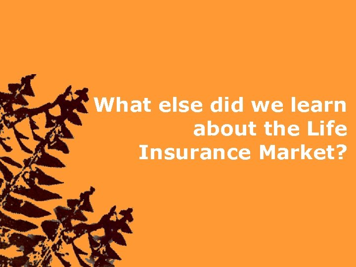 What else did we learn about the Life Insurance Market? 