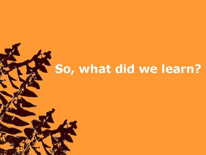 So, what did we learn? 