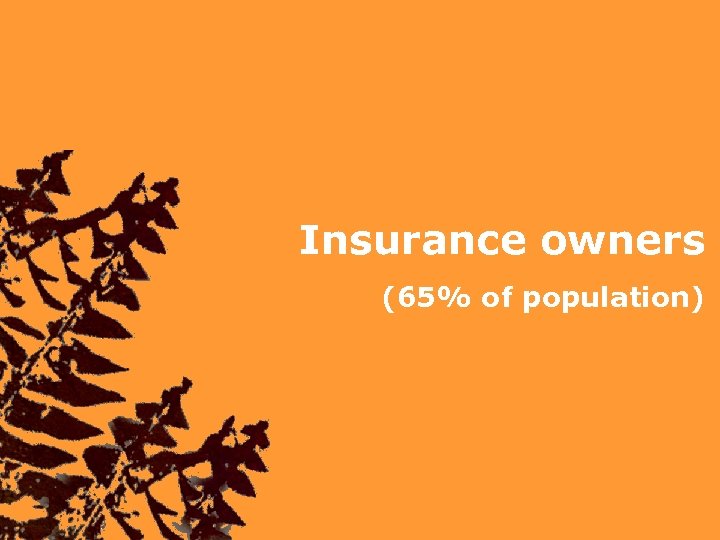 Insurance owners (65% of population) 