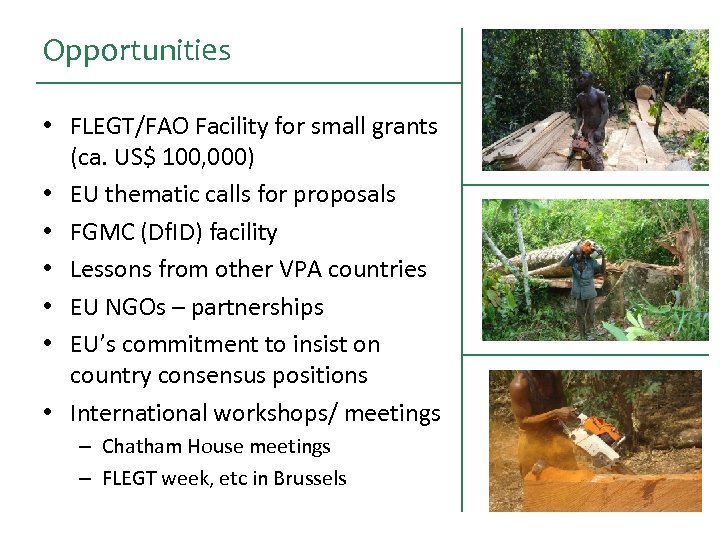 Opportunities • FLEGT/FAO Facility for small grants (ca. US$ 100, 000) • EU thematic
