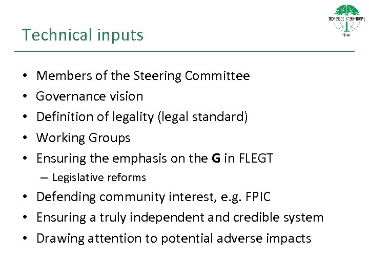 Technical inputs • • • Members of the Steering Committee Governance vision Definition of