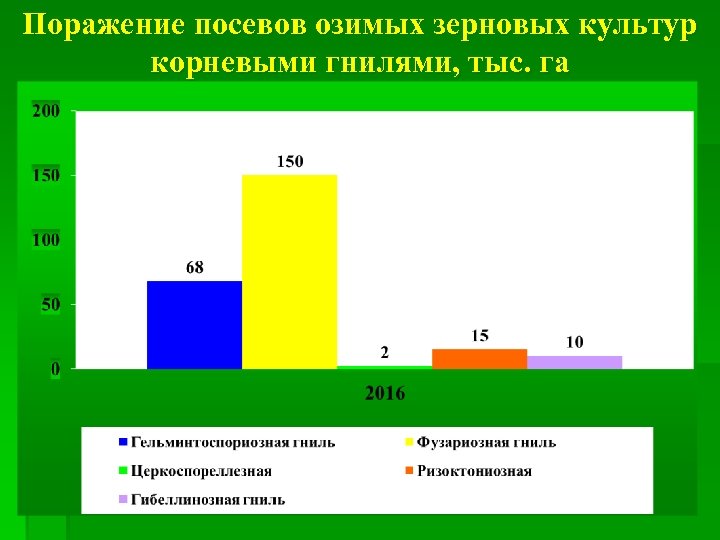 Поражение посевов озимых зерновых культур корневыми гнилями, тыс. га 