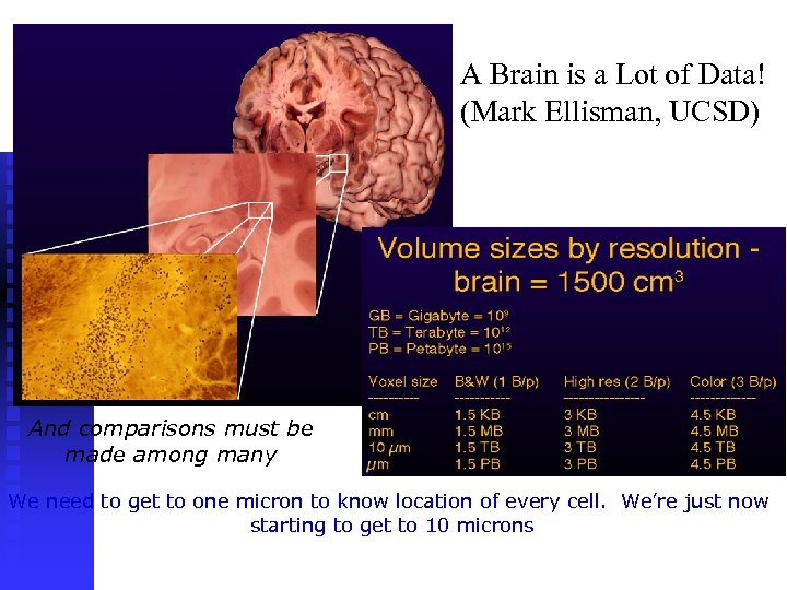A Brain is a Lot of Data! (Mark Ellisman, UCSD) And comparisons must be