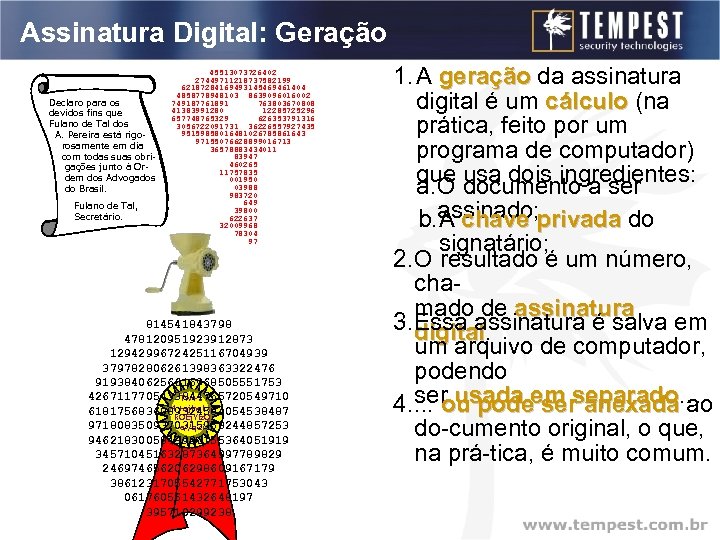 Assinatura Digital: Geração Declaro para os devidos fins que a Empresa Tal Ind. Fulano