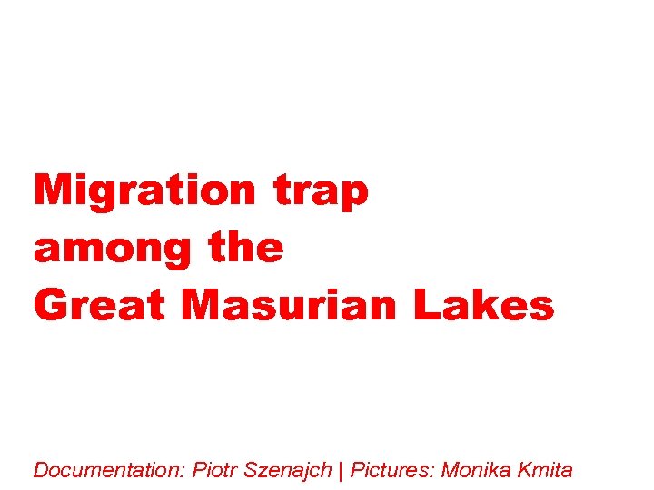 Migration trap among the Great Masurian Lakes Documentation: Piotr Szenajch | Pictures: Monika Kmita