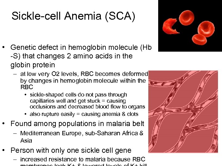 Sickle-cell Anemia (SCA) • Genetic defect in hemoglobin molecule (Hb -S) that changes 2