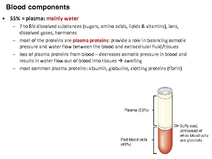 Blood components • 55% = plasma: mainly water – 7 to 8% dissolved substances