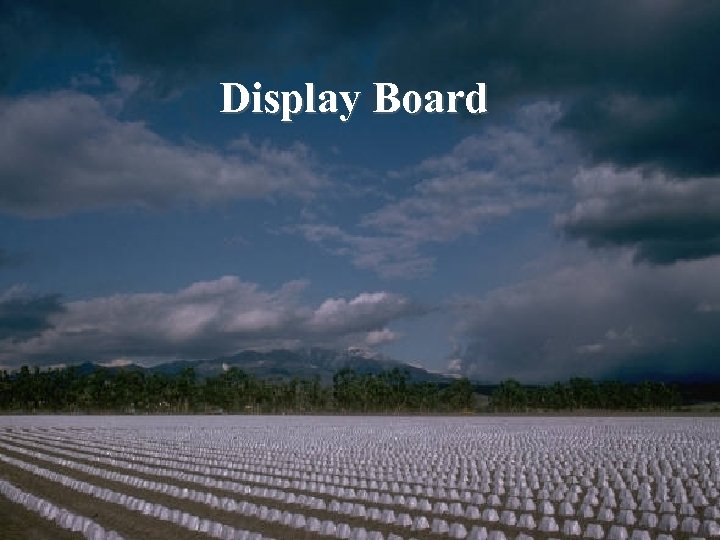 Display Board & Bloom’s Display Board Questions 