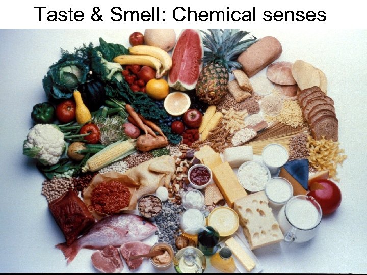 Taste Smell Chemical Senses