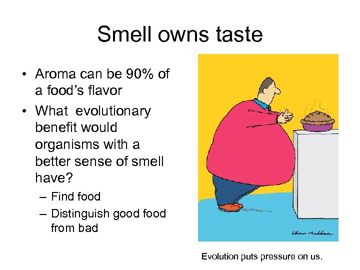 Smell owns taste • Aroma can be 90% of a food’s flavor • What