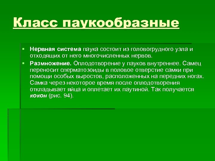 Нервная система паукообразных. Класс паукообразные нервная система. Нервная система паукообразных состоит из. Нервная система паукообразных кратко. Нерв система паукообразных.