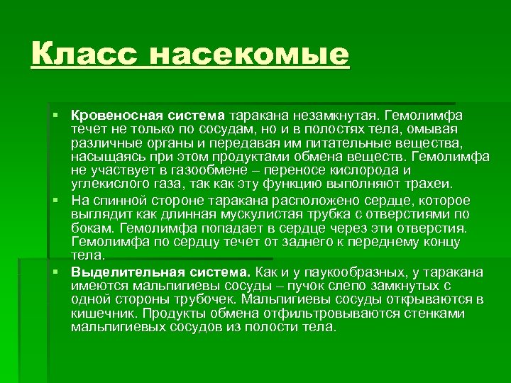 Класс насекомые § Кровеносная система таракана незамкнутая. Гемолимфа течет не только по сосудам, но