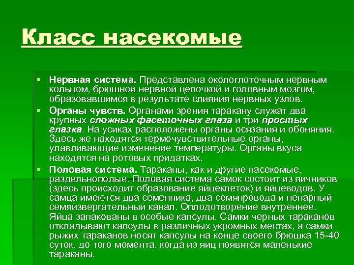 Класс насекомые § Нервная система. Представлена окологлоточным нервным кольцом, брюшной нервной цепочкой и головным