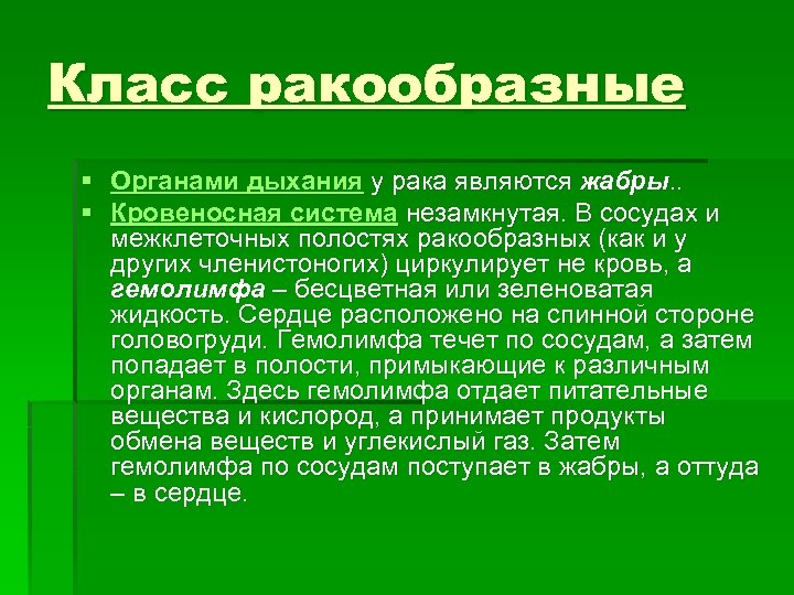 Класс ракообразные § Органами дыхания у рака являются жабры. . § Кровеносная система незамкнутая.