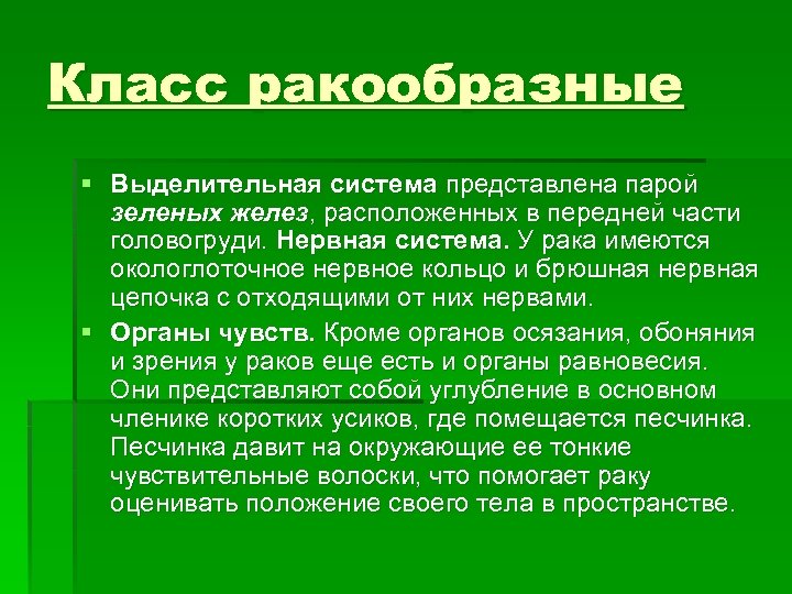 Зеленые железы. Пара зелёных желёз. Где находится окологлоточное кольцо у ракообразных. Де пары зелёных желез.