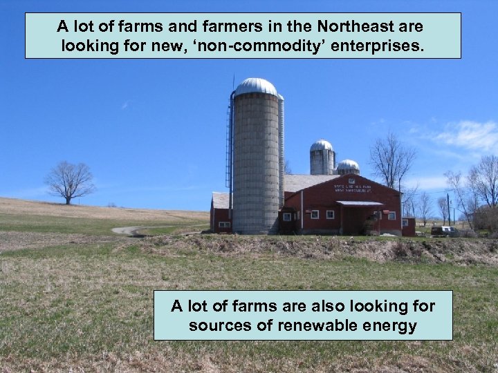 A lot of farms and farmers in the Northeast are looking for new, ‘non-commodity’