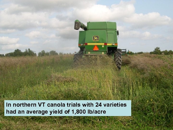 In northern VT canola trials with 24 varieties had an average yield of 1,