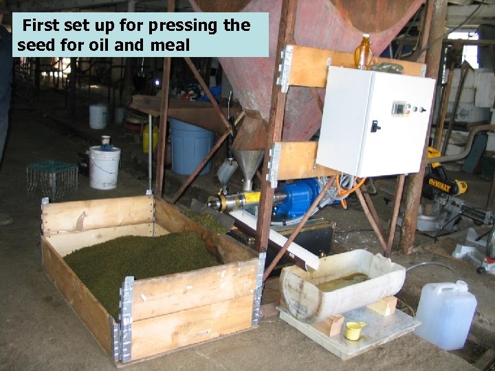 First set up for pressing the seed for oil and meal 