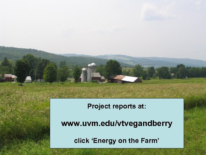 Project reports at: www. uvm. edu/vtvegandberry click ‘Energy on the Farm’ 