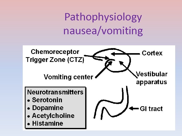 Pathophysiology nausea/vomiting 