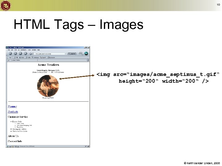 10 HTML Tags – Images <img src=“images/acme_septimus_t. gif" height="200" width="200“ /> © Keith Vander