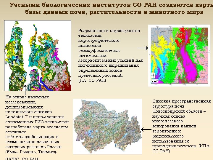 Учеными биологических институтов СО РАН создаются карты базы данных почв, растительности и животного мира