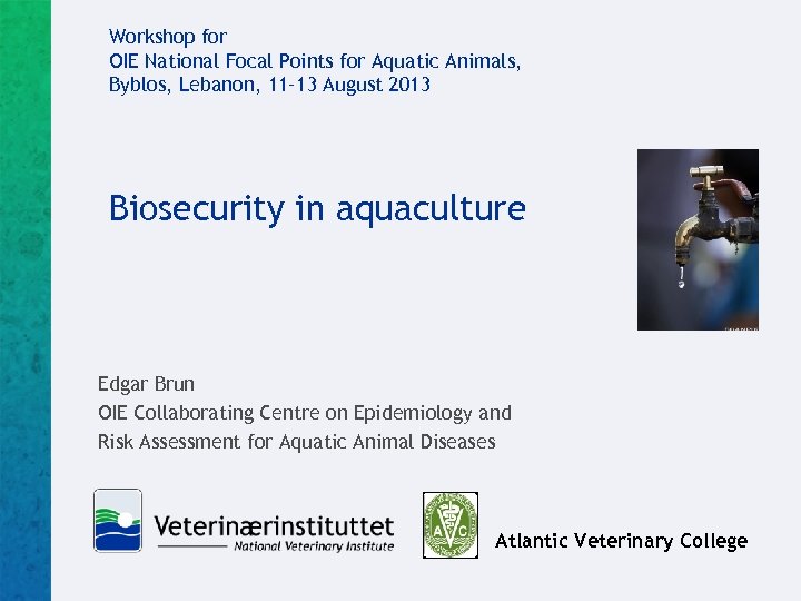 Workshop for OIE National Focal Points for Aquatic Animals, Byblos, Lebanon, 11– 13 August
