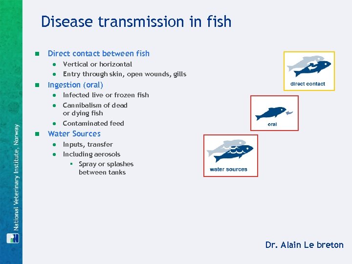Disease transmission in fish n Direct contact between fish ● Vertical or horizontal ●