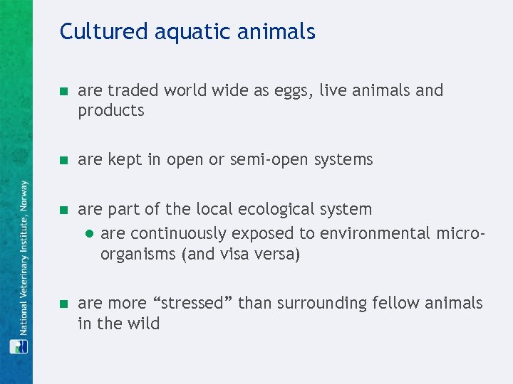 Cultured aquatic animals n are traded world wide as eggs, live animals and products