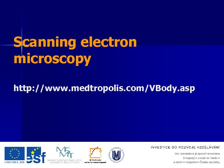 Scanning electron microscopy http: //www. medtropolis. com/VBody. asp 
