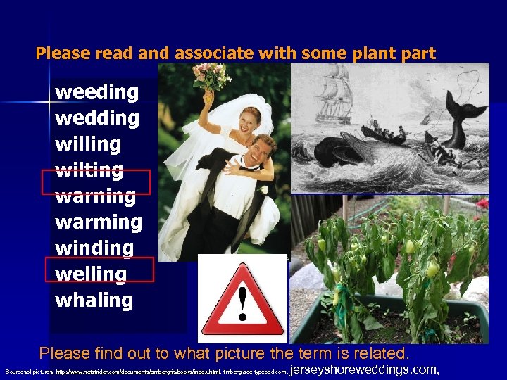 Please read and associate with some plant part weeding wedding willing wilting warning warming