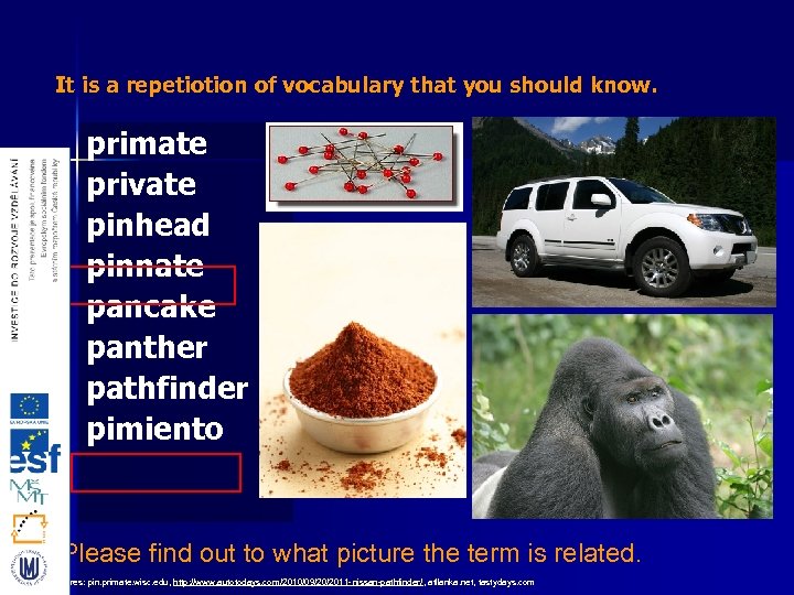 It is a repetiotion of vocabulary that you should know. primate private pinhead pinnate