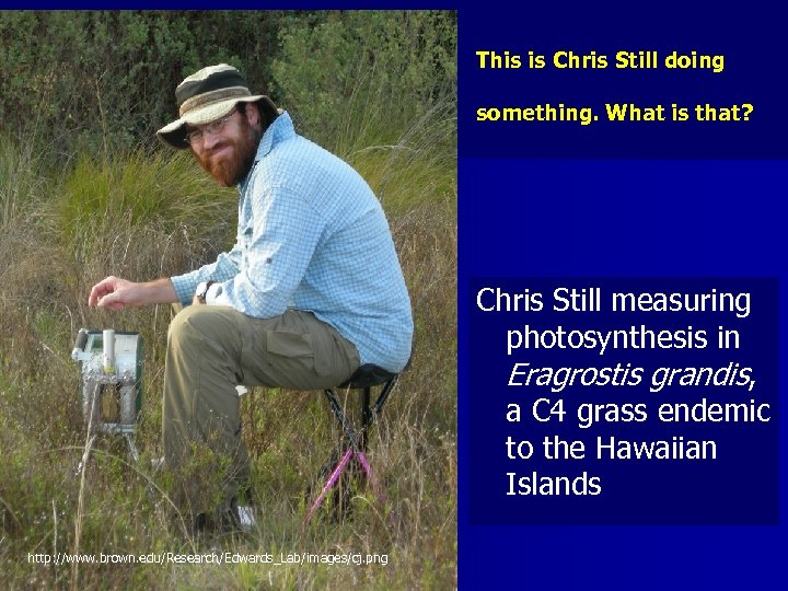 This is Chris Still doing something. What is that? Chris Still measuring photosynthesis in